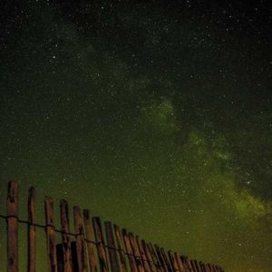 Meet your Posher, Ronald